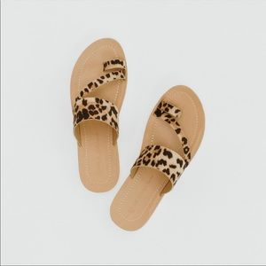 Leopard sandals